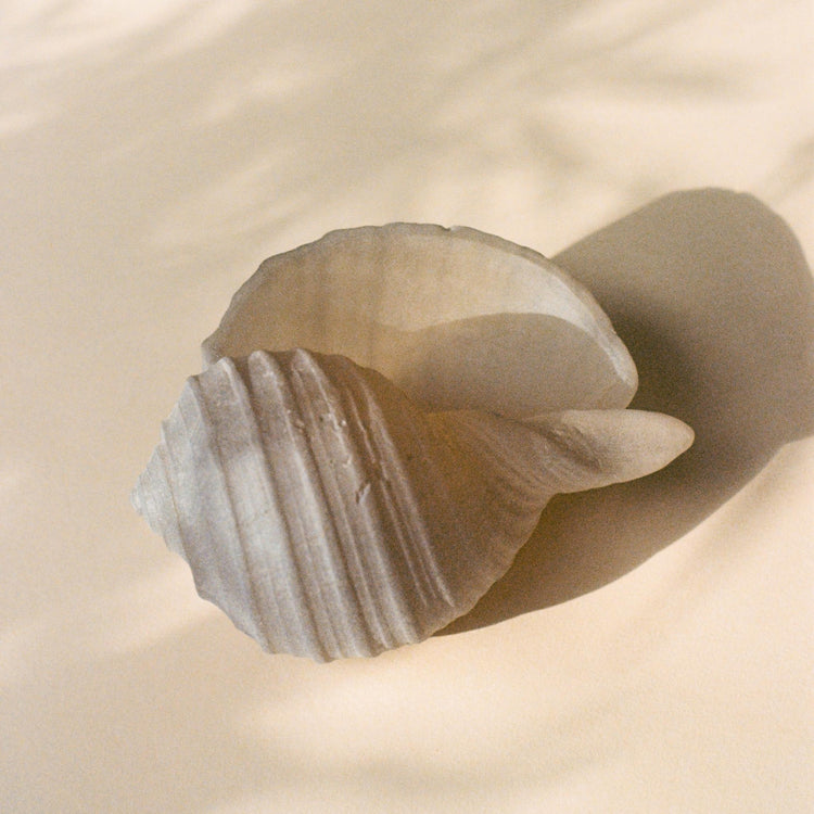 Handmade Glass Conch Shell